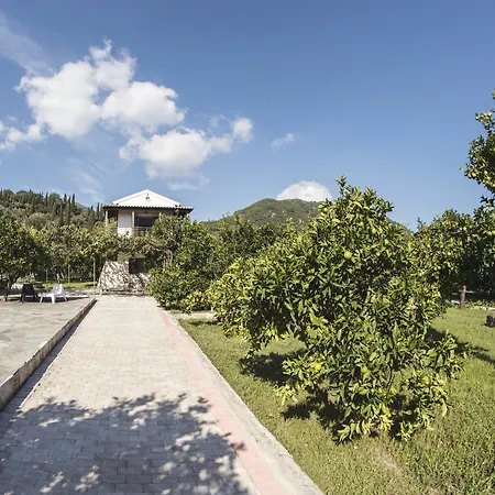 Apartamento Orange Grove *
