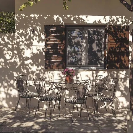Orange Grove *